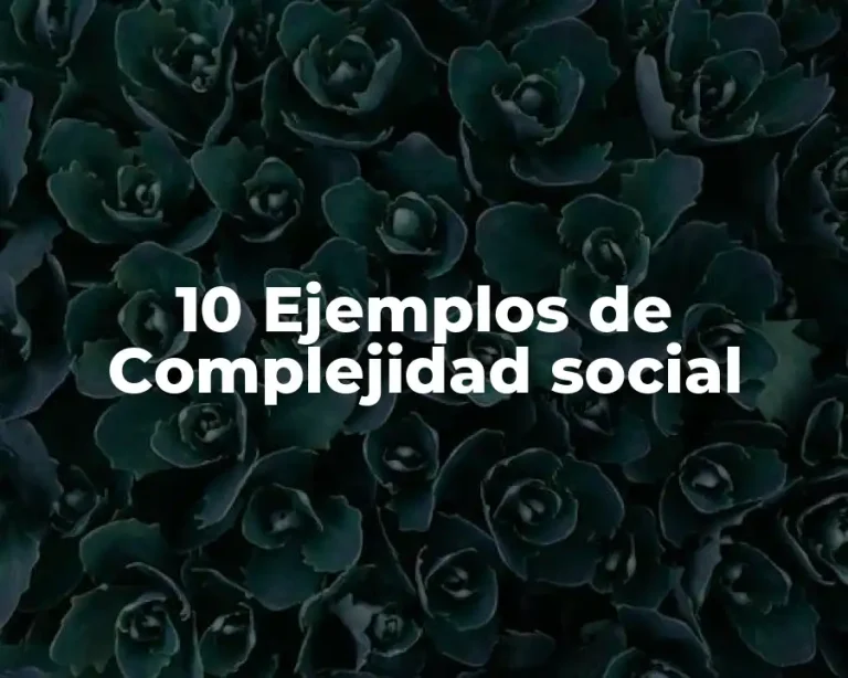 10 Ejemplos de Complejidad social