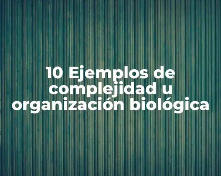 10 Ejemplos de complejidad u organización biológica