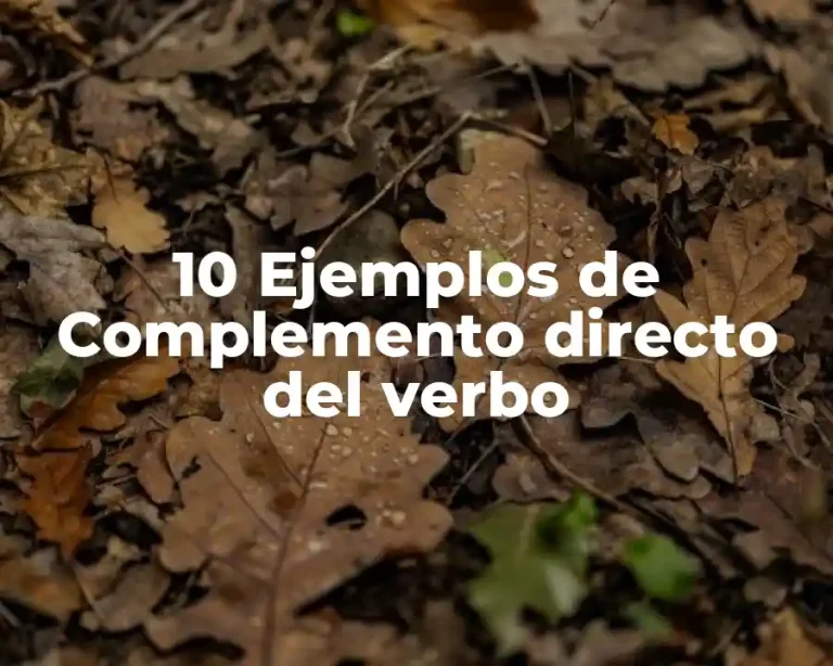 10 Ejemplos de Complemento directo del verbo