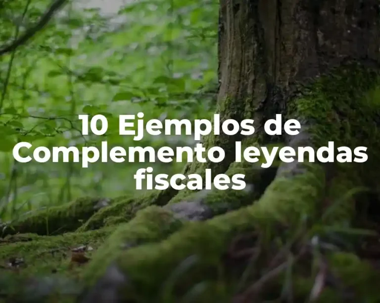 10 Ejemplos de Complemento leyendas fiscales