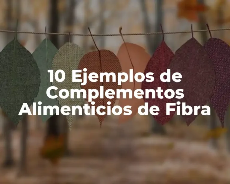 10 Ejemplos de Complementos Alimenticios de Fibra