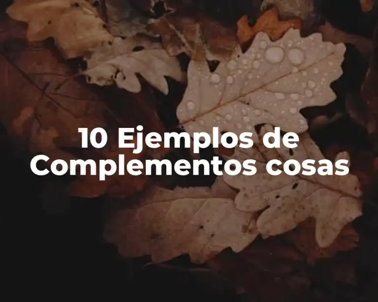 10 Ejemplos de Complementos cosas