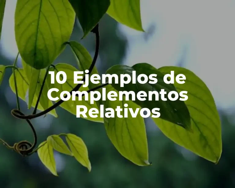 10 Ejemplos de Complementos Relativos
