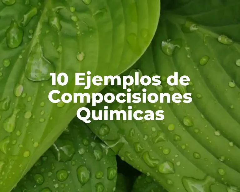 10 Ejemplos de Compocisiones Quimicas