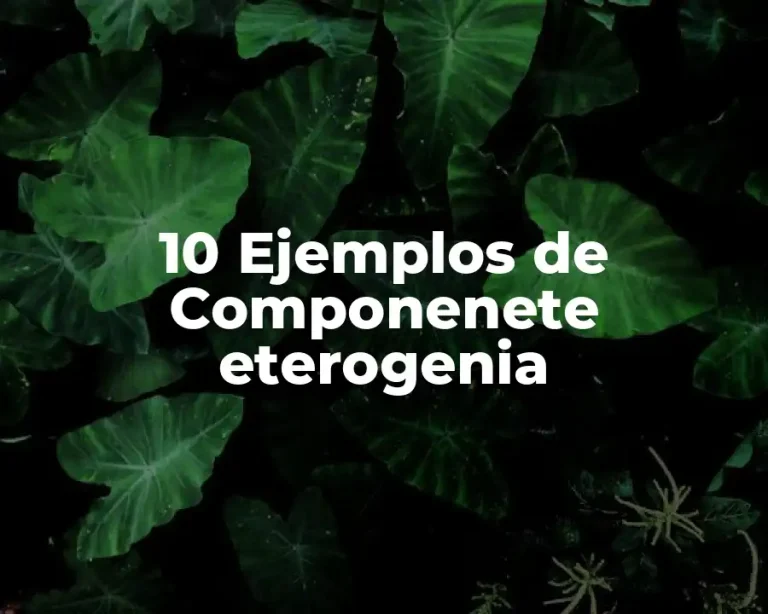 10 Ejemplos de Componenete eterogenia