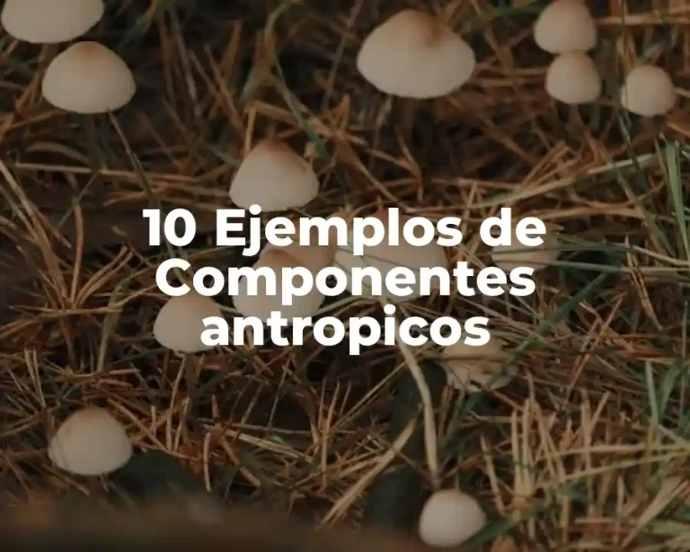10 Ejemplos de Componentes antropicos