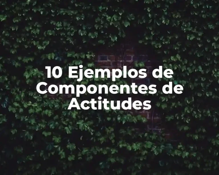 10 Ejemplos de Componentes de Actitudes