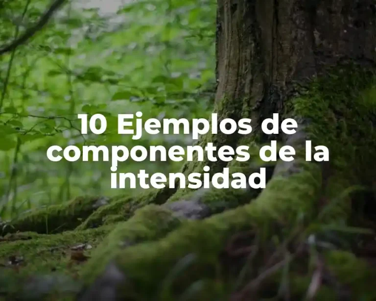 10 Ejemplos de componentes de la intensidad