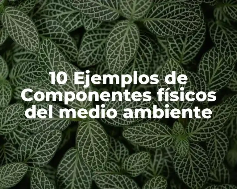 10 Ejemplos de Componentes físicos del medio ambiente