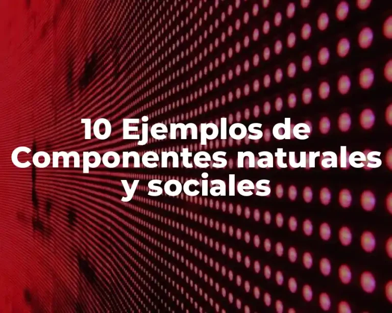 10 Ejemplos de Componentes naturales y sociales