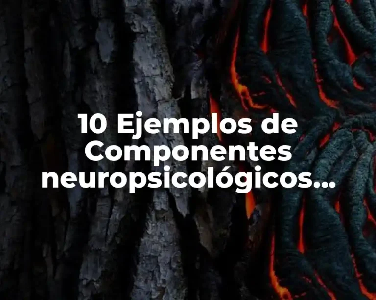 10 Ejemplos de Componentes neuropsicológicos emocionales
