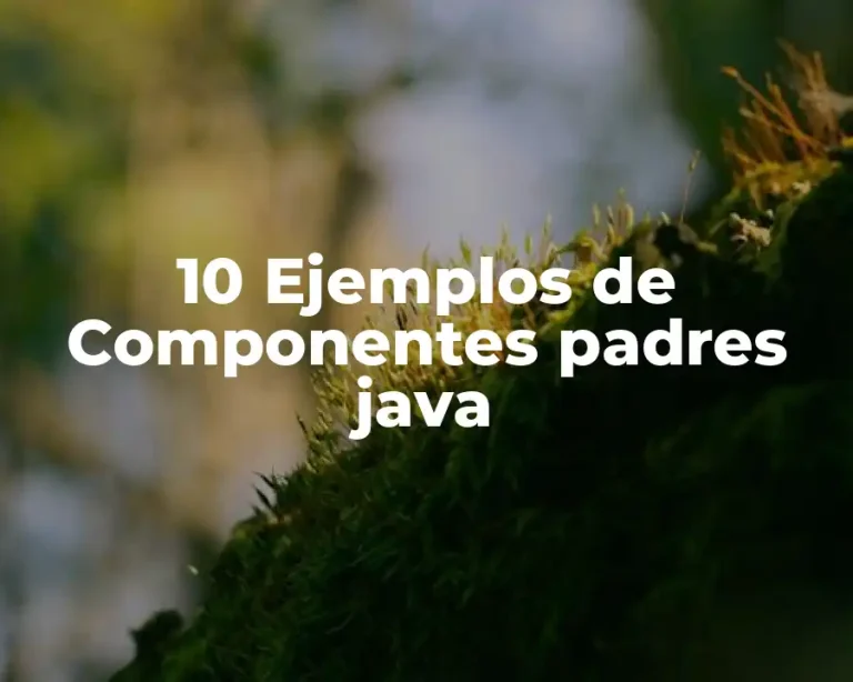 10 Ejemplos de Componentes padres java
