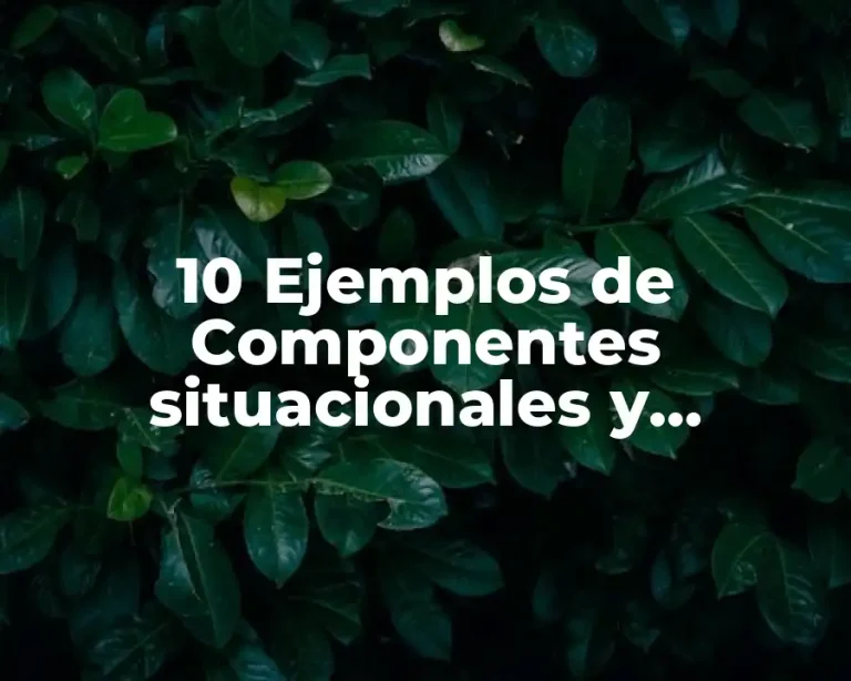 10 Ejemplos de Componentes situacionales y culturales