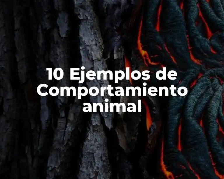 10 Ejemplos de Comportamiento animal