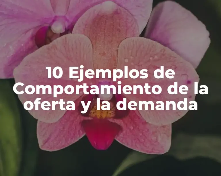 10 Ejemplos de Comportamiento de la oferta y la demanda