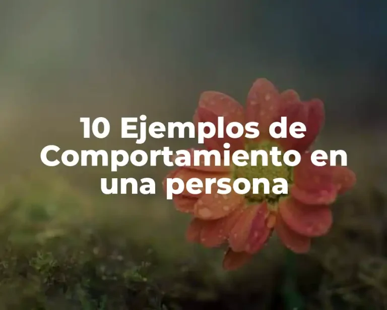 10 Ejemplos de Comportamiento en una persona