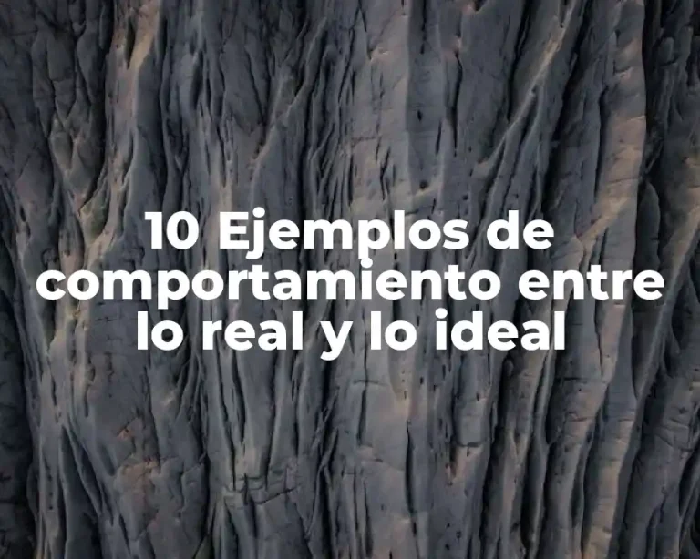 10 Ejemplos de comportamiento entre lo real y lo ideal