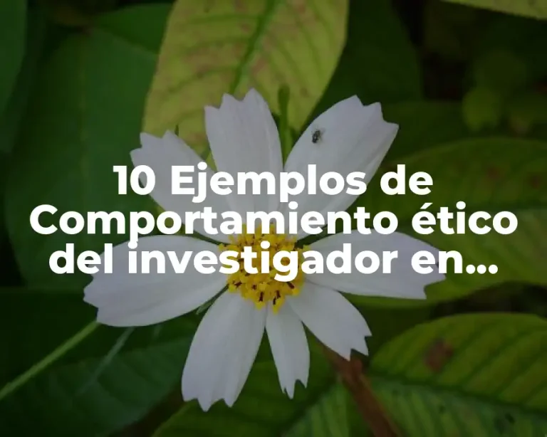 10 Ejemplos de Comportamiento ético del investigador en dilemas tecnoéticos