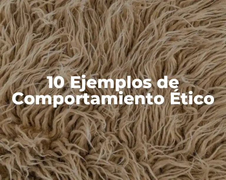 10 Ejemplos de Comportamiento Ético