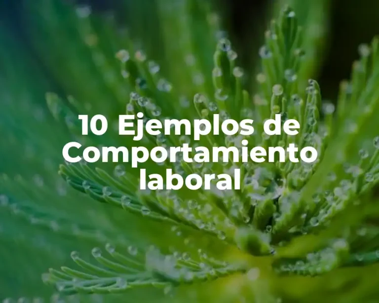 10 Ejemplos de Comportamiento laboral