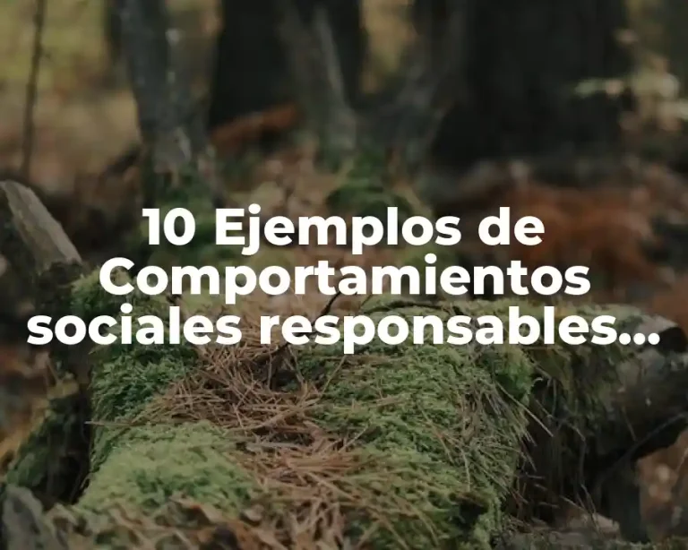 10 Ejemplos de Comportamientos sociales responsables de los socios