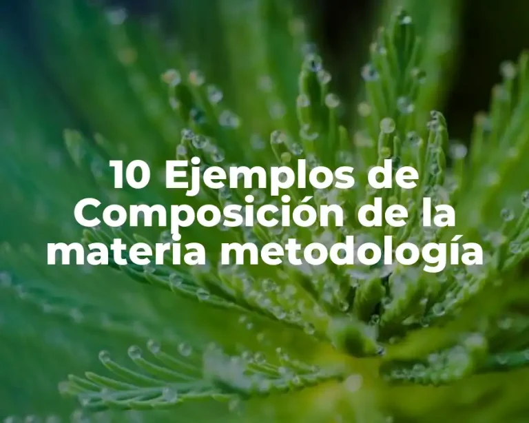 10 Ejemplos de Composición de la materia metodología