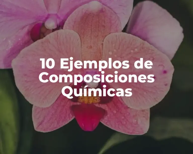 10 Ejemplos de Composiciones Químicas