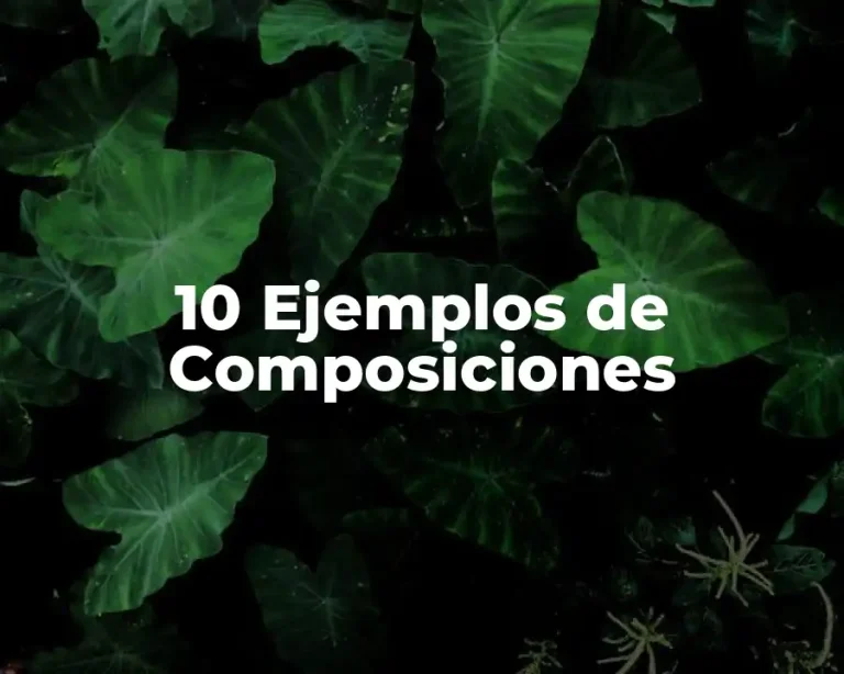 10 Ejemplos de Composiciones