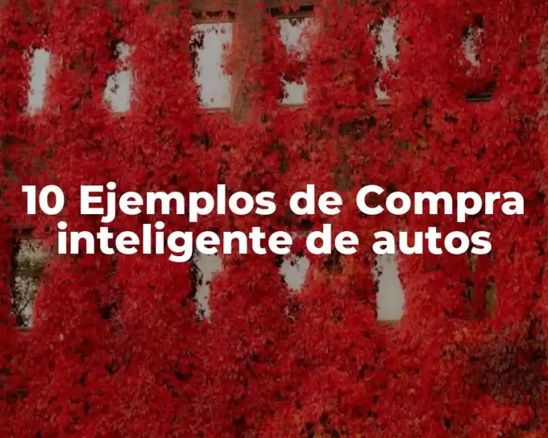 10 Ejemplos de Compra inteligente de autos