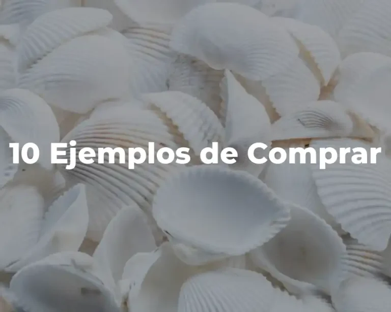 10 Ejemplos de Comprar
