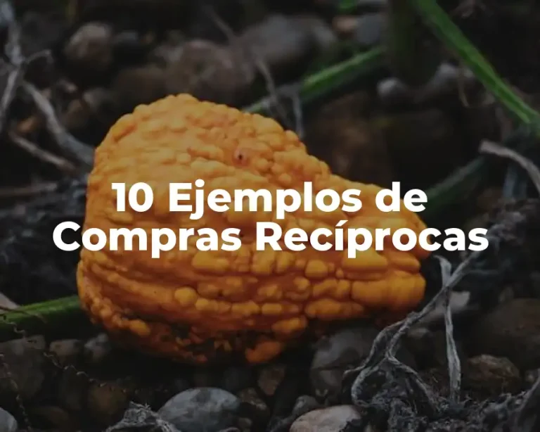 10 Ejemplos de Compras Recíprocas