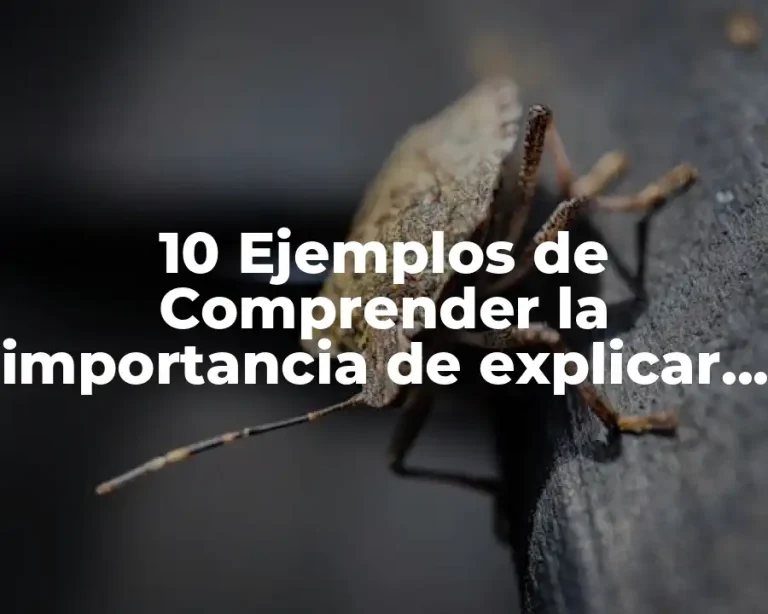 10 Ejemplos de Comprender la importancia de explicar una referencia