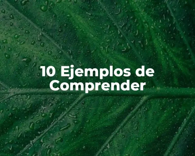 10 Ejemplos de Comprender