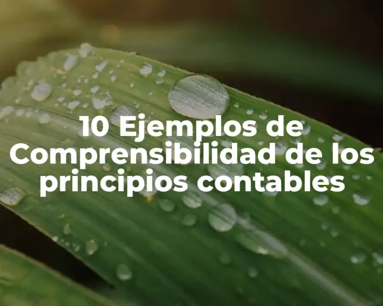 10 Ejemplos de Comprensibilidad de los principios contables