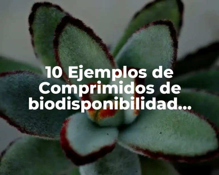 10 Ejemplos de Comprimidos de biodisponibilidad programada