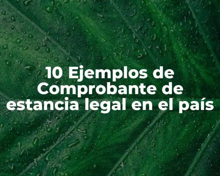 10 Ejemplos de Comprobante de estancia legal en el país