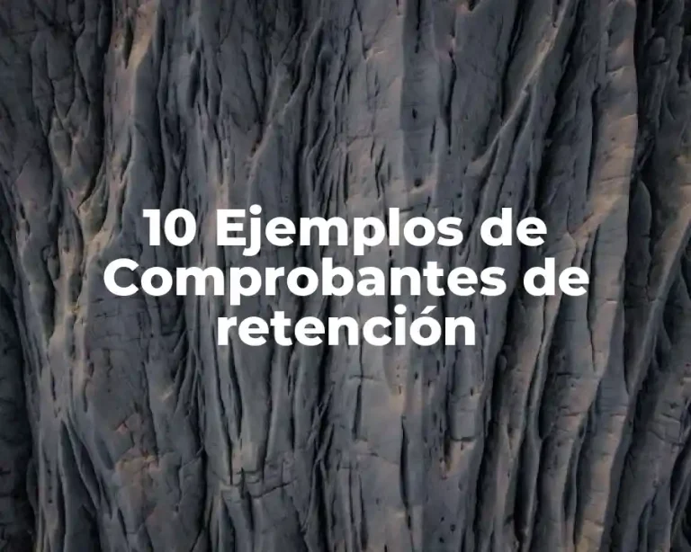 10 Ejemplos de Comprobantes de retención