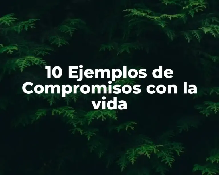 10 Ejemplos de Compromisos con la vida