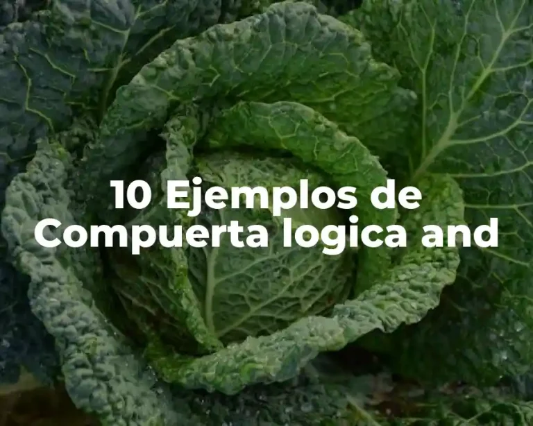 10 Ejemplos de Compuerta logica and