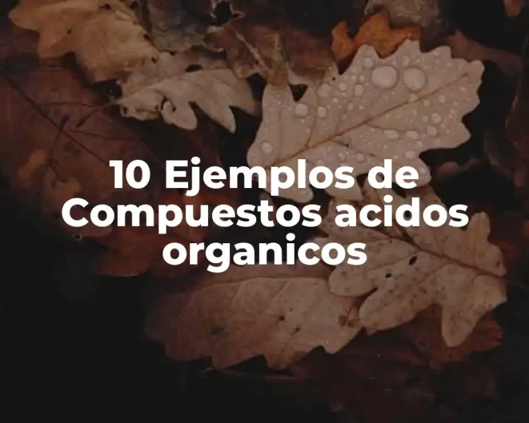 10 Ejemplos de Compuestos acidos organicos