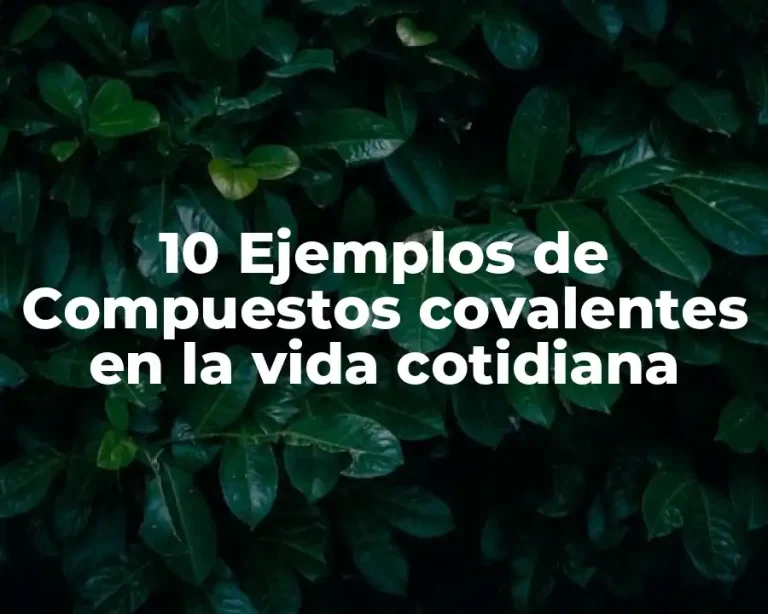 10 Ejemplos de Compuestos covalentes en la vida cotidiana