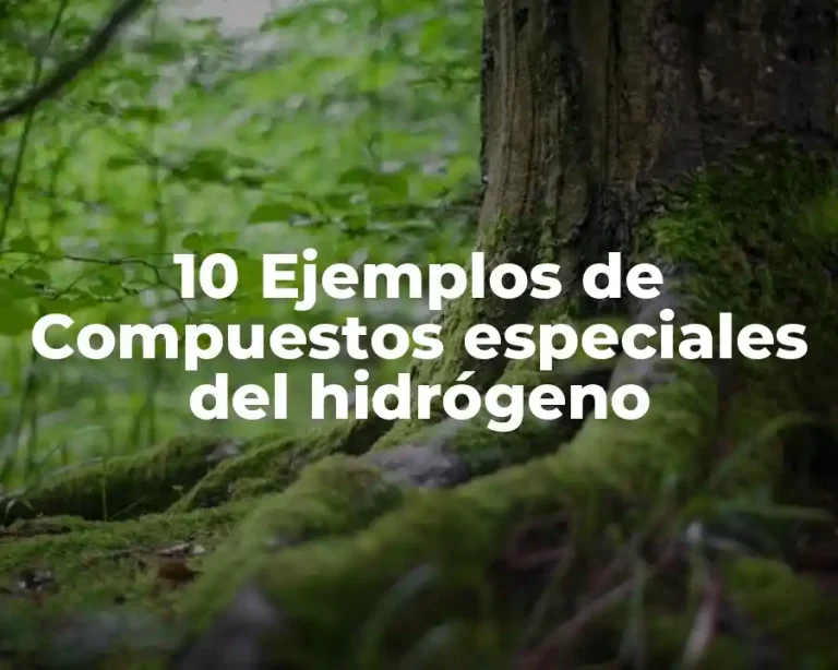 10 Ejemplos de Compuestos especiales del hidrógeno