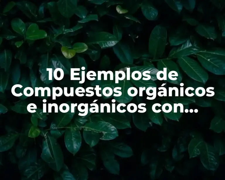 10 Ejemplos de Compuestos orgánicos e inorgánicos con fórmula