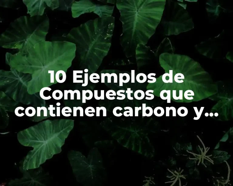 10 Ejemplos de Compuestos que contienen carbono y oxigeno