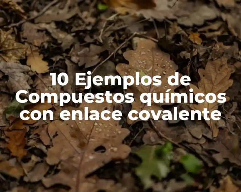 10 Ejemplos de Compuestos químicos con enlace covalente