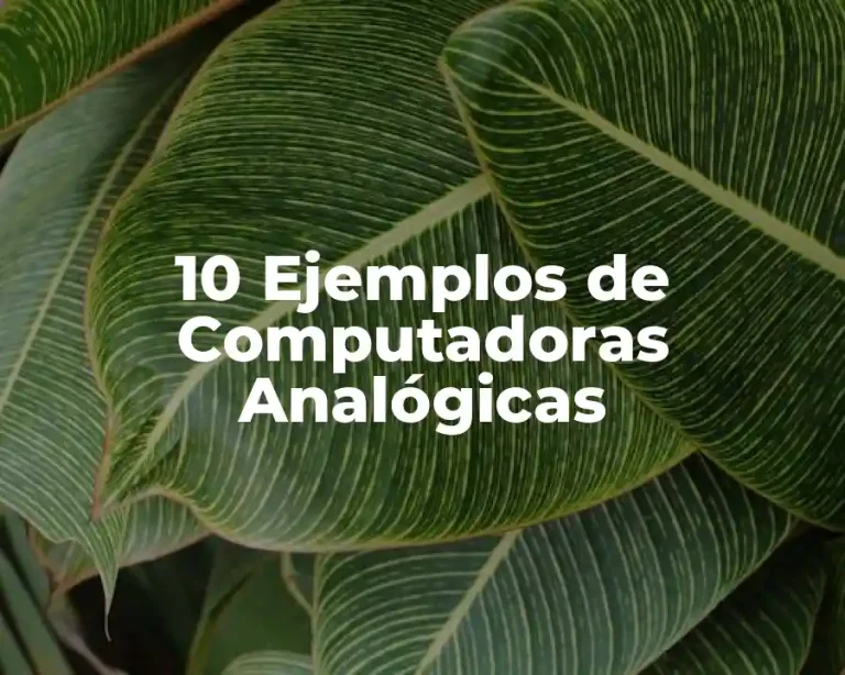 10 Ejemplos de Computadoras Analógicas