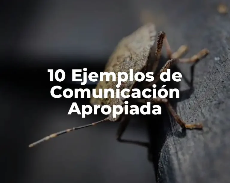 10 Ejemplos de Comunicación Apropiada