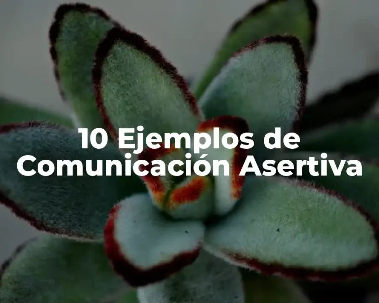 10 Ejemplos de Comunicación Asertiva