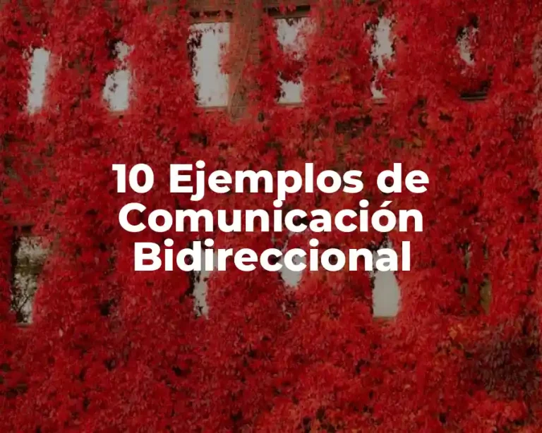 10 Ejemplos de Comunicación Bidireccional