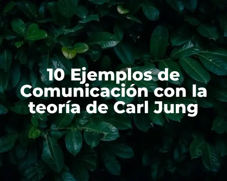 10 Ejemplos de Comunicación con la teoría de Carl Jung